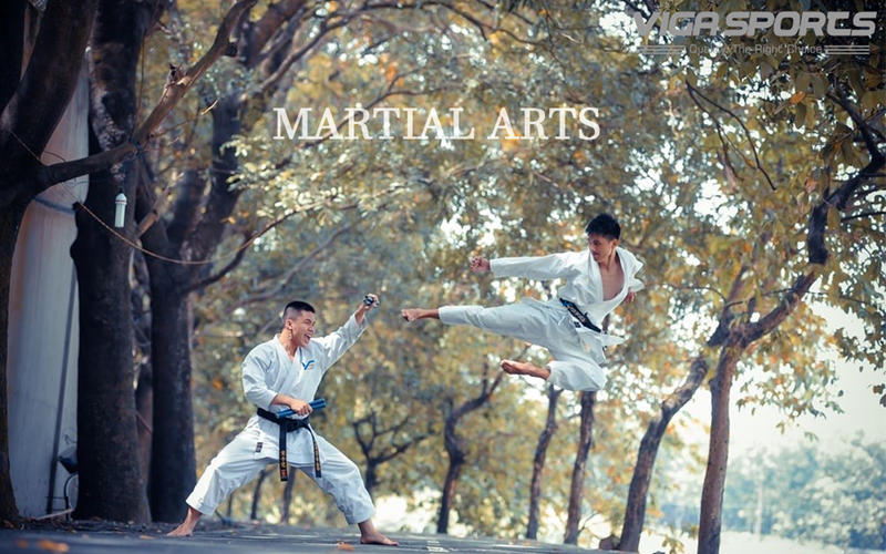 Martial Arts